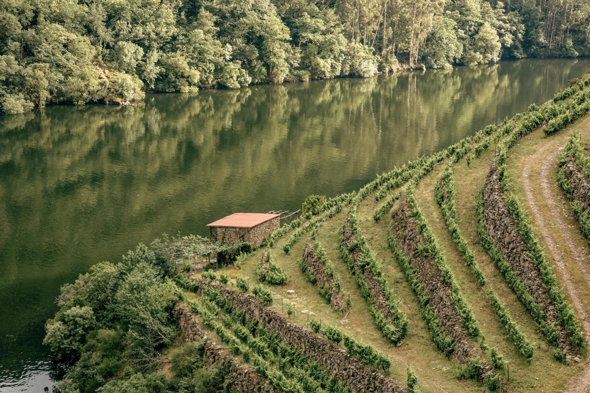 Affittacamere Casinas Do Sil Cristosende Esterno foto